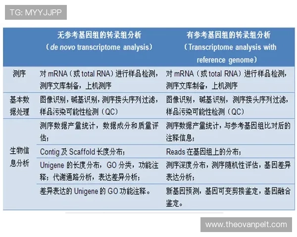 凯发体育官网平台注册流程详解及新手入门必备技巧指南